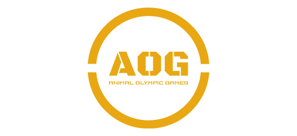 AOG Casino API Provider Jaipur & Global