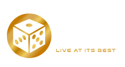 VIVO Casino API Provider Jaipur & Global
